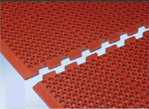 Cactus Mat Beveled Edge Red Mat.