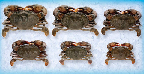 Handy Prime Imported Wild Caught Soft Shell Crab, 2.5 ounce -- 56 per case