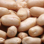 Azar Nut Raw Blanched Peanut, 12.5 Pound -- 2 per case.
