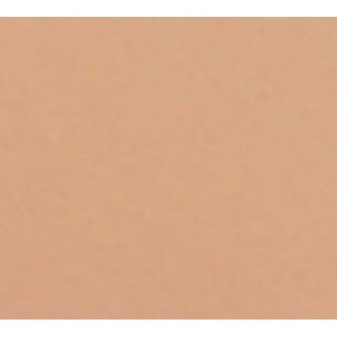 Cambro Round Dark Peach Camtray, 10 inch -- 12 per case.