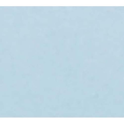 Cambro Fiberglass Sky Blue Dietary Tray, 12 x 22 inch -- 12 per case.