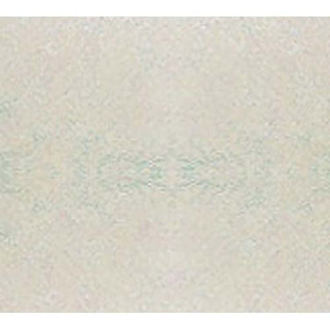 Cambro Galaxy Antique Parchment Silver Round Camtray, 9 inch -- 12 per case.