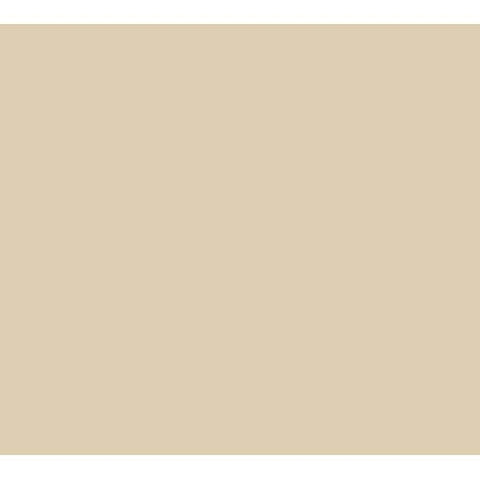Cambro Camrack Polypropylene Beige Full Size with 2 Extender Base Rack, 19 3/4 x 19 3/4 x 7 1/4 inch -- 4 per case.