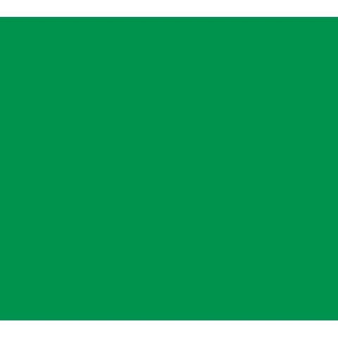 Cambro Kentucky Green Versa Food Bar with Standard Height and Heavy Duty Casters, 5 Feet.