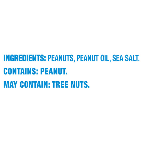 Planters PEANUT SALTED BIG BAG