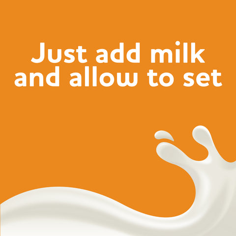 Pudding Mix Butterscotch Instant