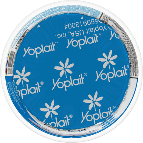 Yoplait Light Blueberry Yogurt, 6 Ounce -- 12 per case.