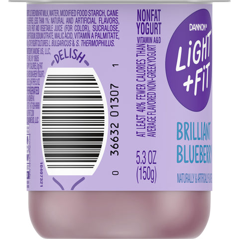 Yogurt Blueberry Original Light N Fit