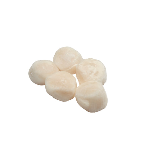 Lunds SCALLOP SEA 10-20 CT IQF DRY