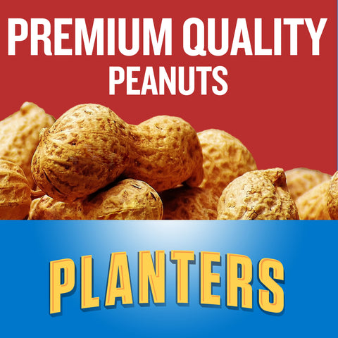 Planters PEANUT SALTED BIG BAG