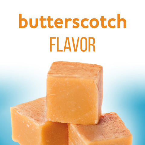Pudding Mix Butterscotch Instant