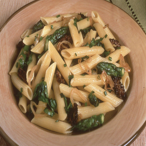 Pasta Penne Rigate