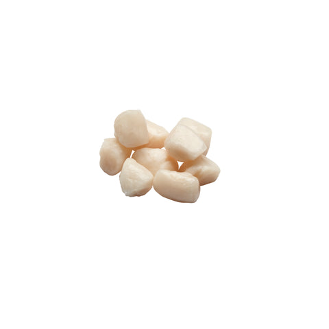 Panapesca SCALLOP BAY 25% W/A 80-120 CT